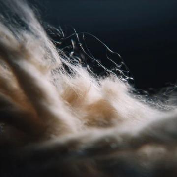 在溫柔中釋懷：編織生活的希望與堅韌
