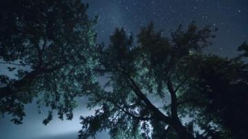 暗香滿天，夜色更深