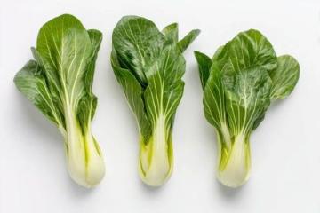 又到了腌酸菜和吃腌酸肉炒筍的的季節(jié)，跟著童年記憶尋找摸索媽媽和外婆的味道