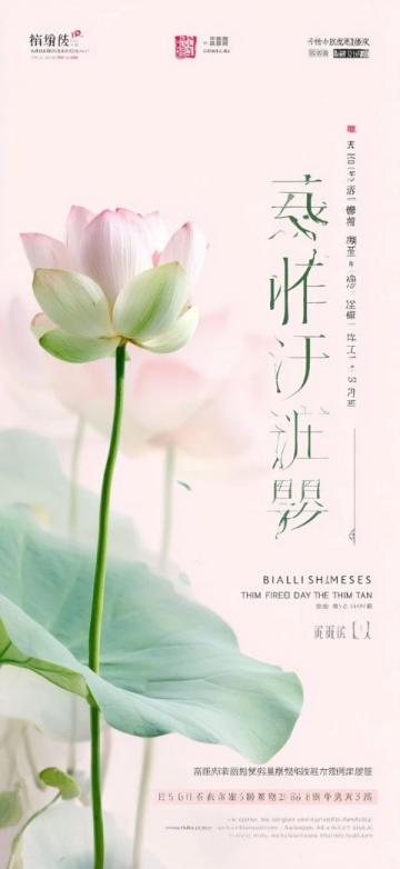 韓星秋瓷炫甜蜜生日:跨國婚姻里的溫馨寵愛與浪漫時刻