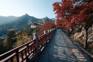 臨朐自駕游記:徒步八歧山、品嘗全羊湯、購買隱士流心柿餅