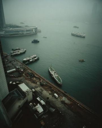 香港鼠患嚴峻：每捉一只老鼠成本約10880元，引發(fā)熱議