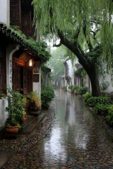 蘇州3天6晚游玩攻略,帶你暢游園林之美
