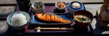 探訪日本鰻魚之神金本兼次郎：極致料理藝術與美味傳奇