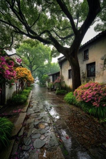 蘇州兩座著名古街:山塘街與平江路掠影