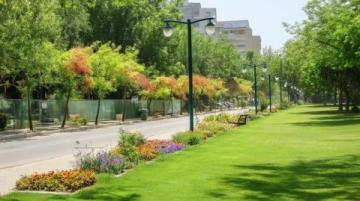 北京東邊免費公園賞花踏青指南，避人潮秘境推薦