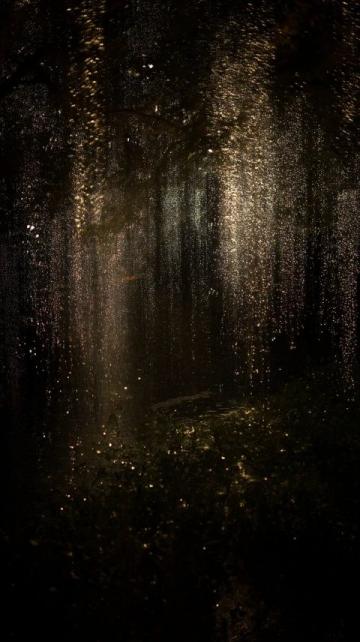 夜幕下的雪野湖：燒烤紅酒配煙花的美妙夜晚體驗