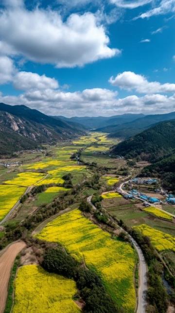 縉云縣旅游攻略：自然美景與文化體驗指南