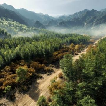 西雙版納深度游全攻略：秘境美景、美食地圖與當(dāng)?shù)赝娣ń颐? width=