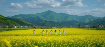 江南秘境：藏于古村中的油菜花海等你來探秘