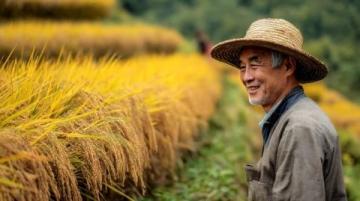 衡陽(yáng)一日游攻略: 吃住行不怕迷路!