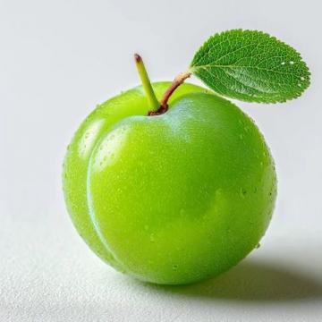 緬懷外婆：那顆最后逝去的青梅