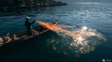 阜陽河道刀魚泛濫村民狂撈背后是生態(tài)改善信號？