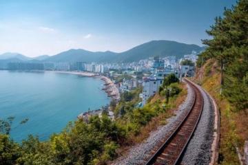 一口入魂美食炸彈在中國北方的海岸線上，青島像一顆鑲嵌在黃海之濱的明珠