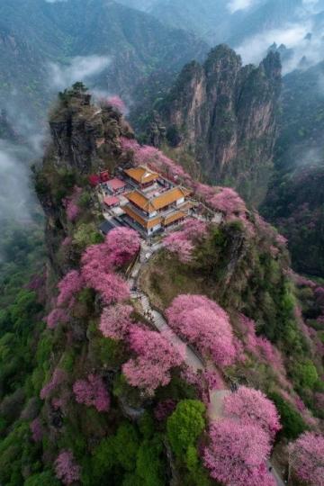 天水麥積山石窟國家5A景區概覽及旅游指南