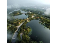 早就聽聞東莞麻涌的華陽湖濕地公園美不勝收，終于在這個周末，我開著我的16款軒逸