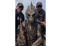泰熱門節目使用魔鬼魚引發爭議，制片人聲明回應質疑