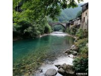 重返江蘇興化安豐鎮，體驗非凡的700公里早茶之旅