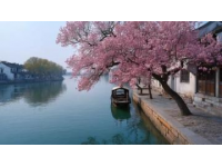 早春南下之旅：探秘廣東順德的美食與文化（第九站）