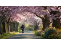騎車去春游，公園推薦,騎車野餐是我認為度過春天最慵懶的方式了