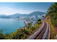一口入魂美食炸彈在中國北方的海岸線上，青島像一顆鑲嵌在黃海之濱的明珠