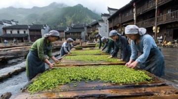 國慶意外出游:與家人共賞石泉古鎮魅力及美食之旅