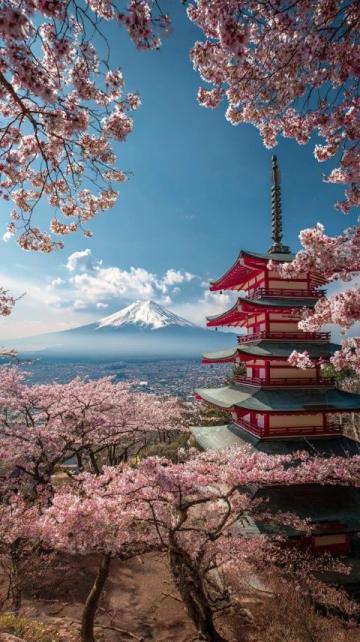 2025年必去的五大春季旅行勝地，跟隨榜單開(kāi)啟新體驗(yàn)