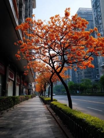 武漢櫻花季：賞花拍照與必嘗美食攻略