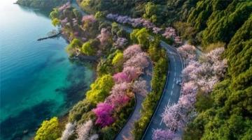 貴州畢節(jié)百里杜鵑風(fēng)景區(qū)攻略(門票花期交通及游玩推薦)