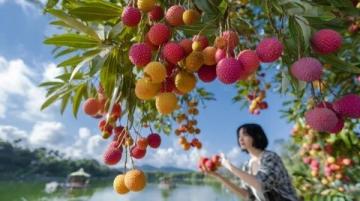 家鄉秋天豐收的果實可以做出許多誘人的美食，以下是一些常見的搭配