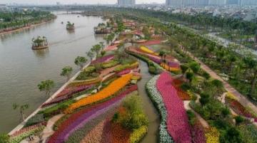蘇州東沙湖公園：春風(fēng)中綻放的花季盛宴