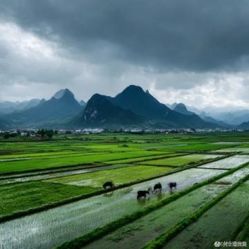 探索沛縣美景：徐州自駕之旅指南