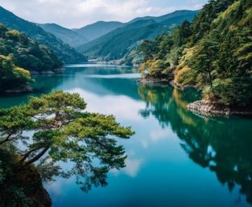 四川九寨溝夏天4日游攻略