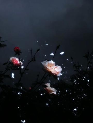 暗香滿天，夜色更深