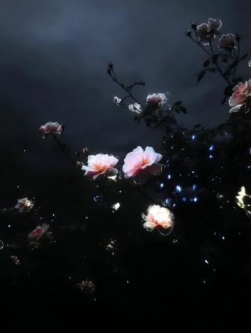 暗香滿天，夜色更深