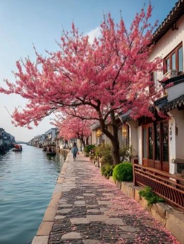 五月青島浪漫賞花攻略，這條路線必收藏！
