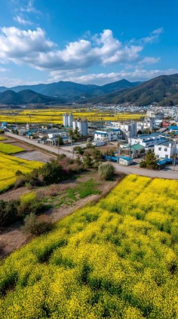 探索春城:昆明三日游的自然、文化與美食之旅