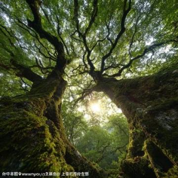 探索人間仙境：四川九寨溝深度游指南與體驗