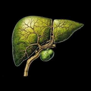 如何讓肝硬化患者過(guò)個(gè)好年?注意這些飲食要點(diǎn)!