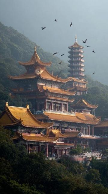 以下是一份廈門旅游攻略,涵蓋景點、美食、住宿等方面內(nèi)容