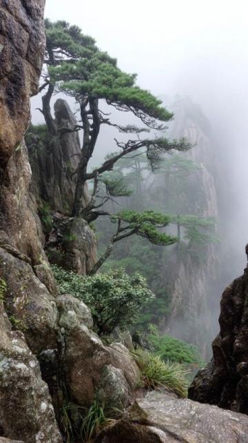 再次走近漁山列島
