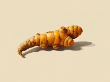 探尋全球藏紅花之源：從味蕾到全身的奧秘