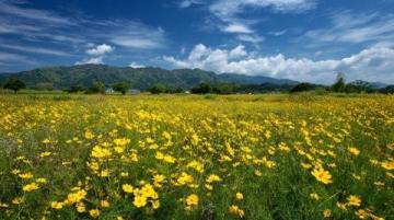 走進春暖花開的閩南美景