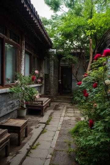 北京東邊免費公園賞花踏青指南，避人潮秘境推薦