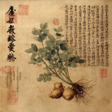 清代陶素耜編道言五種:丹道修煉秘錄詳解