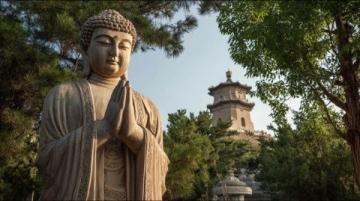 探索日照莒國古城:一份實用旅游指南