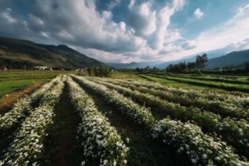 走進春暖花開的閩南美景