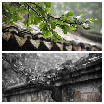 煙雨江南，味蕾飄香