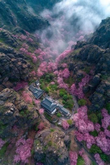 2025年必去的五大春季旅行勝地，跟隨榜單開(kāi)啟新體驗(yàn)
