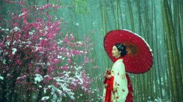 川西秘境：三月春光中，絕美花海引領顏值巔峰